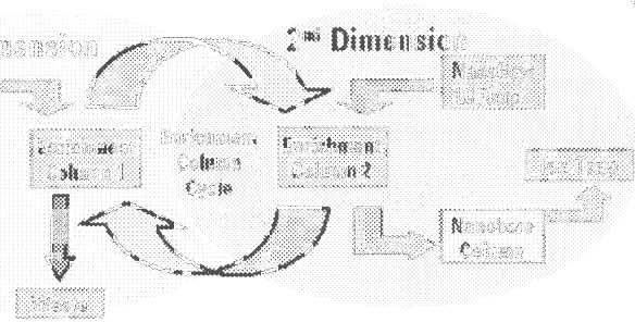 Mikrocharakterizace proteinů nám pomáhá zjistit, jaká je aktivní a funkční forma, ve které se proteiny vyskytují v organizmu. Druhou oblastí je tzv.