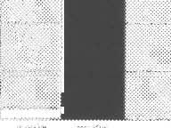 ,q~1l l;(mh~ 11),% 9 lt~mh.::>l,~ 1('.