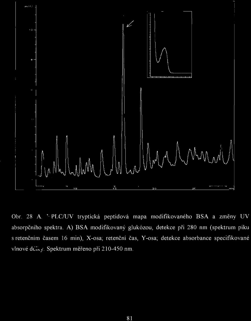«- \ VI B - 0 - Obr. 28 A. HPLCIUV tryptická peptidová mapa modifikovaného BSA a změny UV absorpčního spektra.