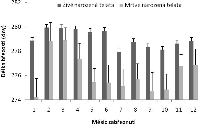 Průměrná délka březosti plemenic, které zabřezly v měsíci červenci a porodily mrtvé tele, byla 275 dní s rozmezím od 260 dní do 289 dní.