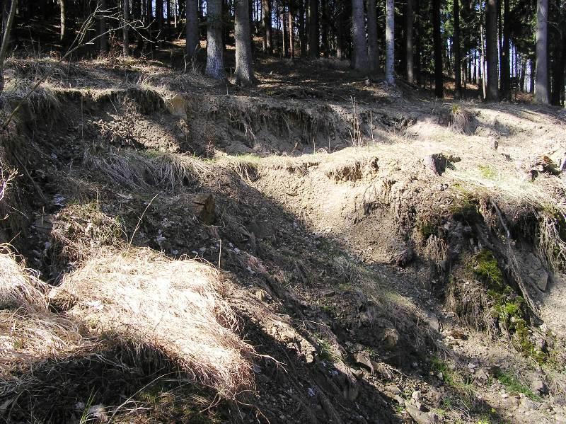 Aktivizovala se řada starých jiţ stabilizovaných sesuvů, urychlil se průběh aktivních sesuvů a rovněţ vznikly nové