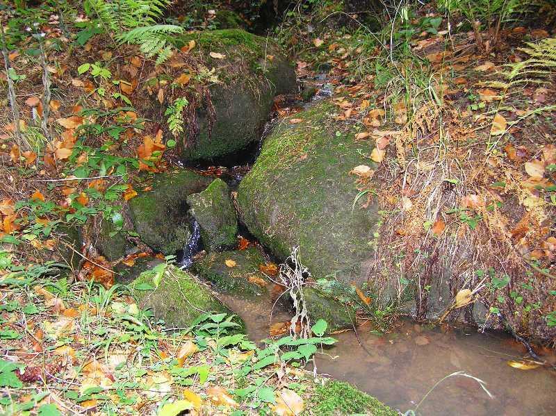 Rokytenka, č. h. p. 4-11-01-066 (IV.), pramení na jiţním svahu vrchu Chléviska ve výšce 585 m n. m. Do Vsetínské Bečvy ústí ve výšce 340 m n. m. (obr. 15).