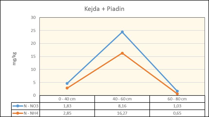 hnojenou Piadinem.