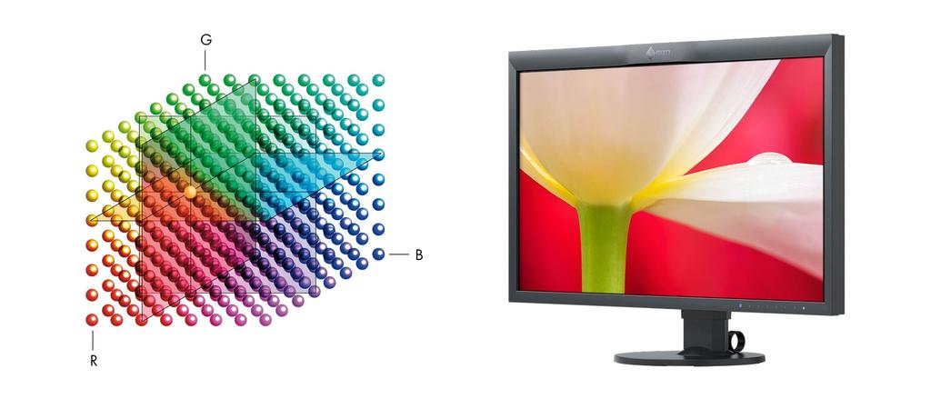 Adobe RGB srgb Přesné podání barev díky trojrozměrné tabulce LUT s vysokým rozlišením Monitor EIZO Běžný monitor Monitor EIZO Běžný monitor Trojrozměrná tabulka LUT zajišťuje vůbec nejpřesnější