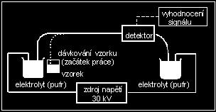 2.1.9 Instrumentální uspořádání Experimentální uspořádání v kapilární elektroforéze je prakticky stále stejné, liší se jen v jednotlivostech. Zařízení (Obr.