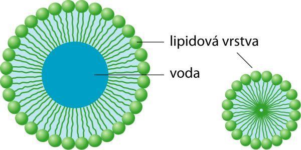 Jedná se o techniku, mezi jejíţ výhodné vlastnosti patří vysoká dělící schopnost, relativně rychlá analýza, snadné ovlivnění selektivity, malé mnoţství vzorku potřebné k analýze a moţnost separace