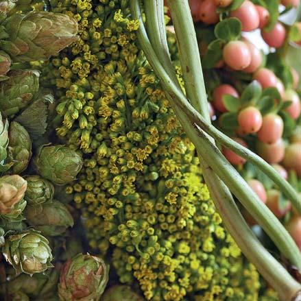 Humulus, ale i jeho výhonky, které slouží jako konstrukční prvek. Upleťte z nich samostatné věnce.