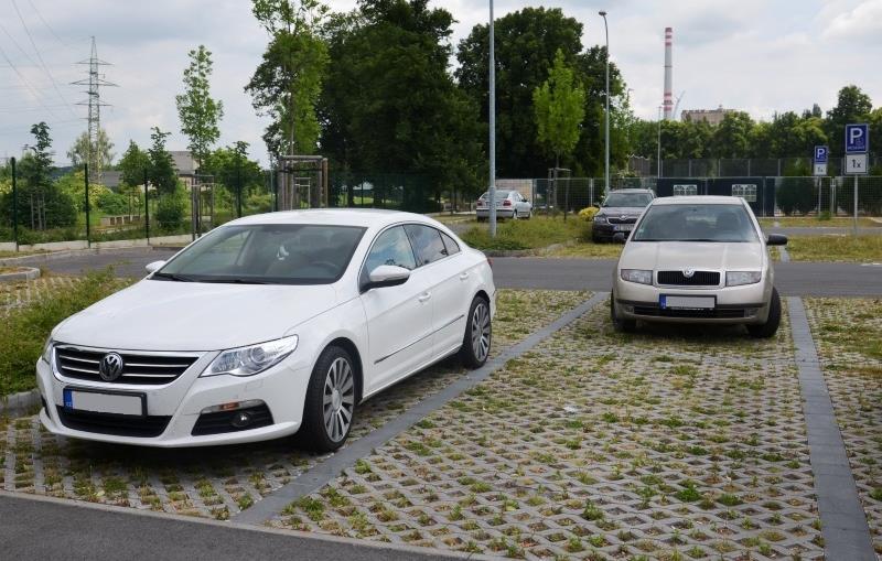 Parkoviště s propustným povrchem Sportovně relaxační centrum, Plzeň, Štruncovy sady V rámci případové studie provedené na Sportovně relaxačním centru v Plzni ve Štruncových sady bylo zhodnoceno