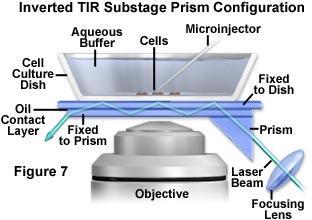 laserový paprsek Výhoda TIRFM: Obraz vykazuje velmi vysoký kontrast s minimálním šumem způsobeným fluorescencí pozadí (u fluorochromů dál od