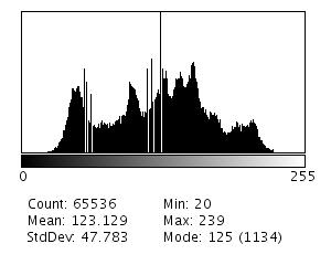 Analýza obrazů histogram přehledné znázornění četnosti jednotlivých stupňů šedi jasné a srozumitelné informace o obraze