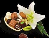 ks  PRALINKY