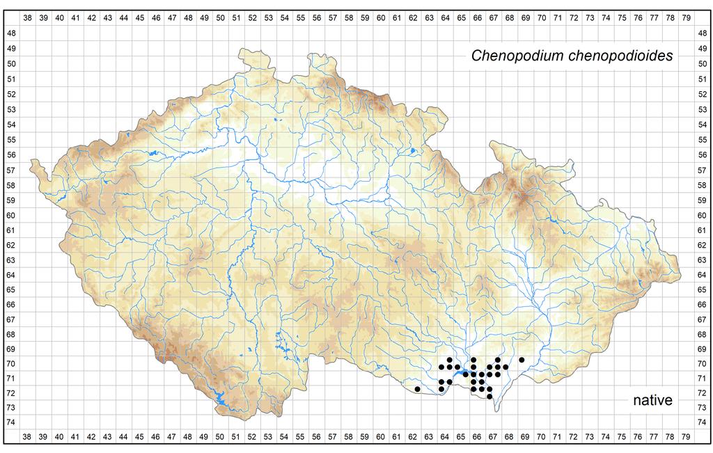 Distribution of Chenopodium chenopodioides in the Czech Republic Author of the map: Pavel Dřevojan, Kateřina Šumberová Map produced on: 12-06-2018 Database records used for producing the distribution