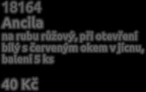 velký žlutý květ s červenou čárkou na rubu,