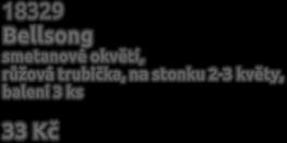 Minnow světle žluté okvětí mírně stočené nazpět, sytější
