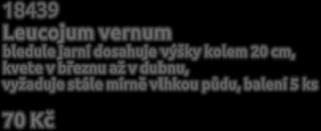 /+ cm Kč 10 181 Puschkinia libanotica puškinie s hustými hrozny