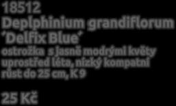 SKALNIČKY strana 28 18512 Deplphinium grandiflorum Delfix Blue