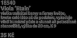 mis, koryt a i na hroby.