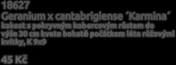 Velkou výhodou dlužich je, že jsou téměř stálezelené.