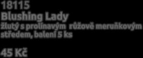 Queen of Night červenofialový až černý,