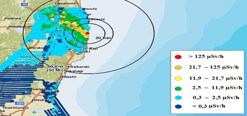 nich radioaktivní. Proto v tomto případě proběhla dozimetrická opatření v oblasti elektrárny i evakuace civilního obyvatelstva se značným zpožděním [3].