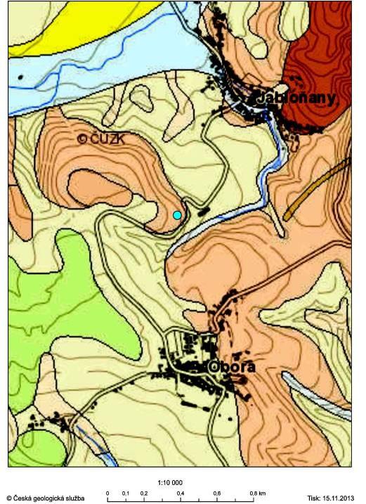 ale obsahují více vlhkomilných prvků, přesličkovitých a kapraďovitých rostlin (Šimůnek, 2004). Ivanov (2003) uvedl hojné nálezy diskosauriscidních obojţivelníků a paprskoploutvých ryb z lomů I-III.