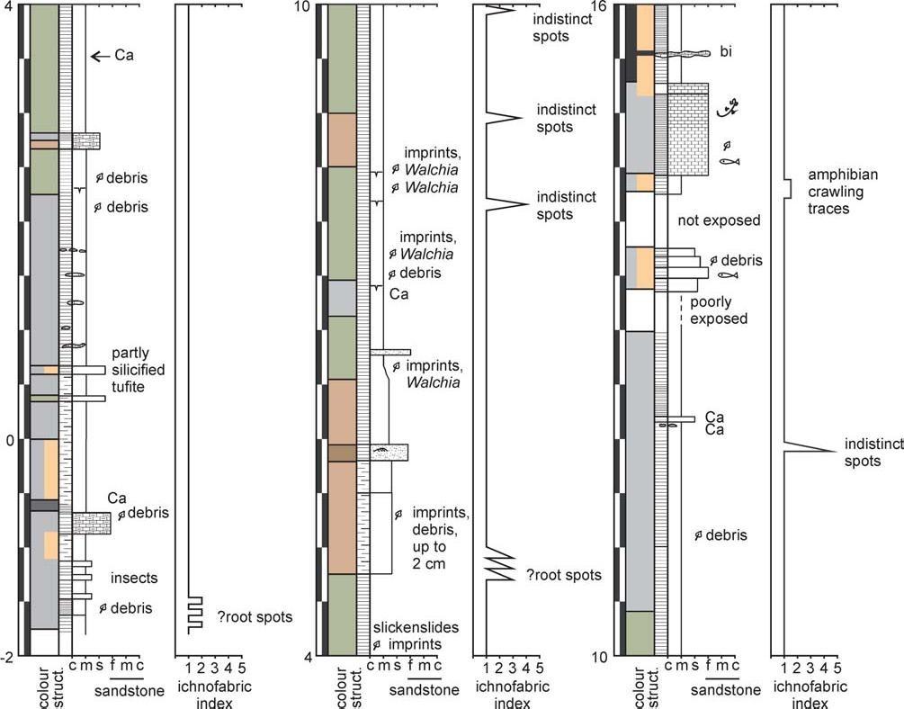 Obr. 6 Geologický profil lokalitou Obora.