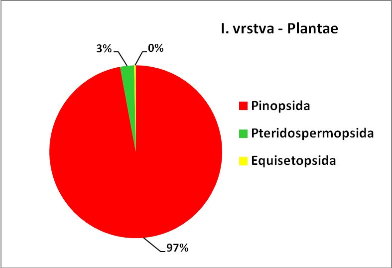 Tafonomie a paleoekologie rostlinných nálezů V paleontologicky zkoumaných zájmových vrstvách byly početně zastoupeny tyto skupiny: 609 jehličnanů, 5 šištic jehličnanů, 45 kapraďosemenných rostlin, 1