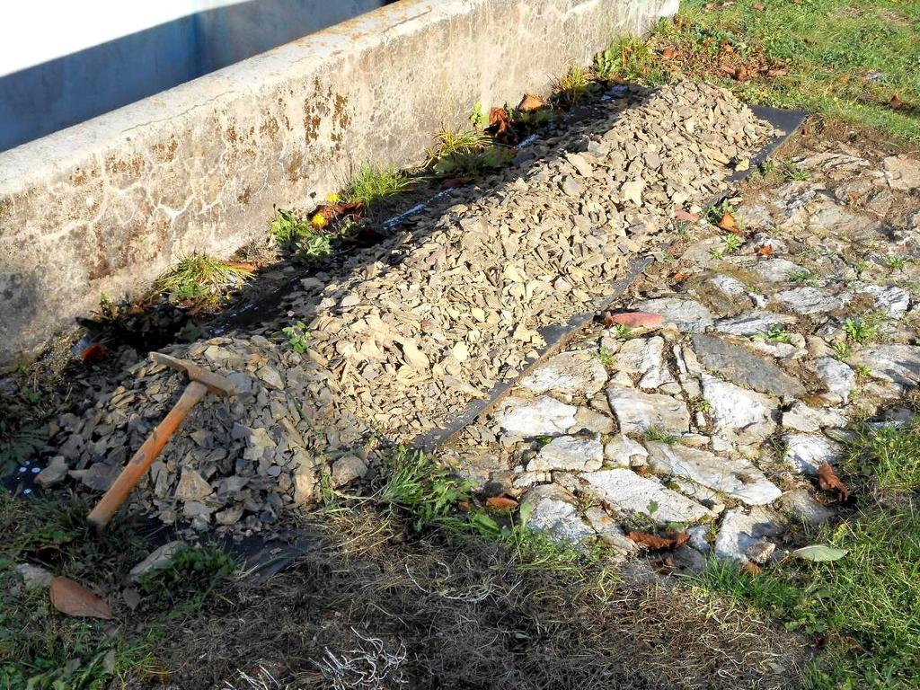31 Paleontologicky zpracovaný