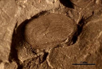 Obr. 8 74