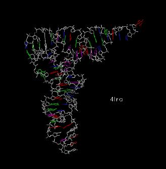 Transferová RNA pro valin schematicky t-rna z kvasnic http://cwx.prenhall.