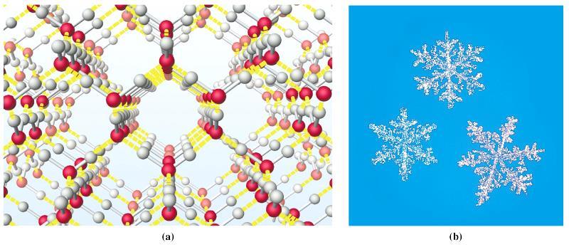 Vodíková vazba mezi molekulami vody Kapalná voda Led Obrázky: http://cwx.