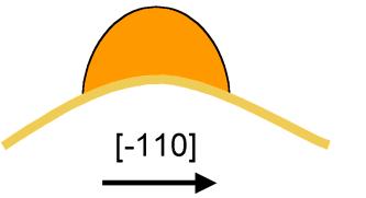 are less elongated Greater surface curvature