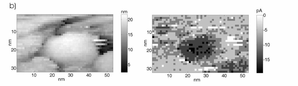 BEEM (microscopy) AFM topography ballistic