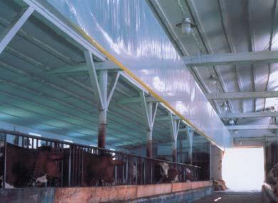 (2002), instalace, polyetylénová folie,