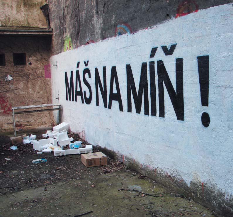 Jsem absolventem PdF MU v roce 2004 a frekventantem 6. ročníku FaVU v Brně. K profesi?