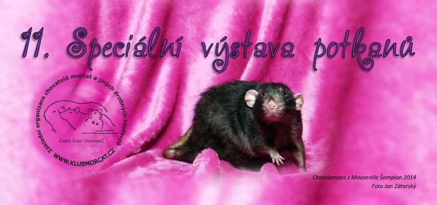 Ekologický
