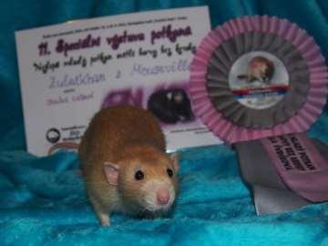 Mouseville foto H.