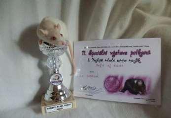 foto L.