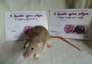 foto M.