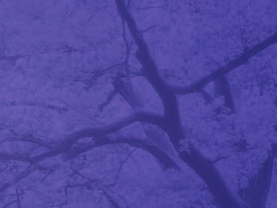 posuzování stupně závislosti na pomoci jiné osoby; 8 hodin Specifika přístupu k lidem s duševním onemocněním v rámci posuzování stupně závislosti na pomoci jiné osoby; 8 hodin Specifika přístupu k