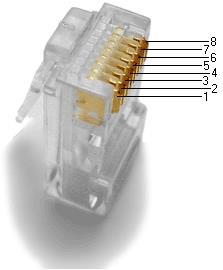 Sběrnice 1-Wire 4IOT-SEN-01 obsahuje rozšiřující zásuvku v podobě konektoru RJ-45 pro připojení zařízení komunikujícího po sběrnici 1-Wire.