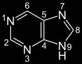 hypoxantinu, inhibuje