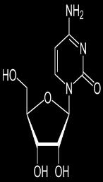 Aza-cytidin (Vidaza) Fosforylován Inkorporovánce do RNA Aza-CDP