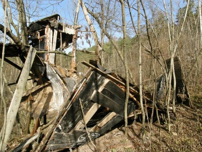 2009 Zachovalost území je snížená především z důvodu značného zastoupení porostů invazního akátu a porostů nepůvodní borovice černé či stanovištně nepůvodní borovice lesní a smrku.