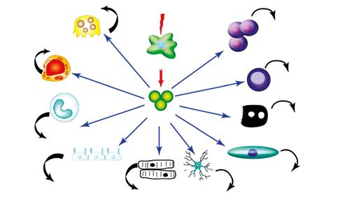 T-lymfocytů Protilátky se obvykle infliximab podává v monoterapii (studie INFAST u časné axiální spondylartritidy).