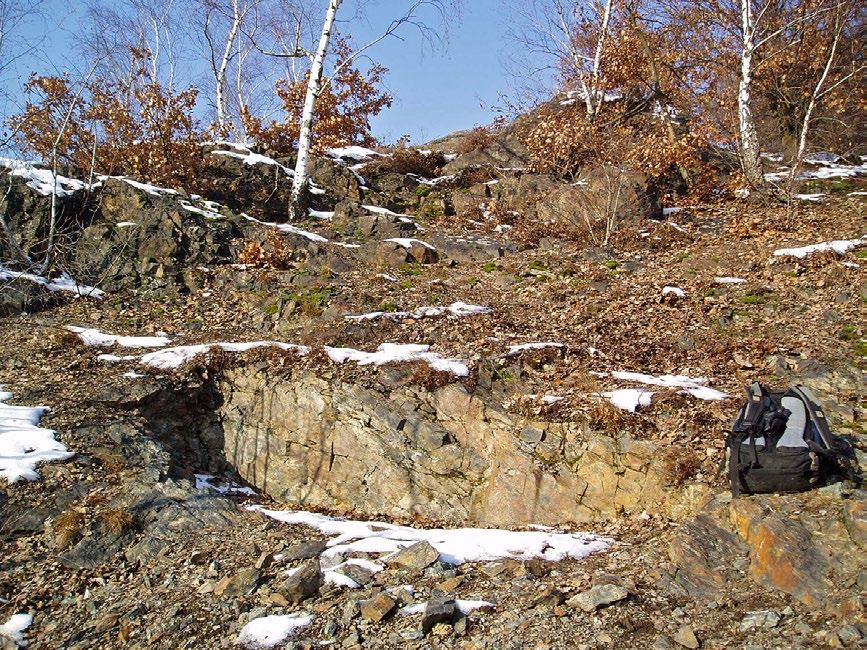 38 Bull Mineral Petrolog 26, 1, 2018. ISSN 2570-7337 (print); 2570-7345 (online) velkého úlomku horniny.