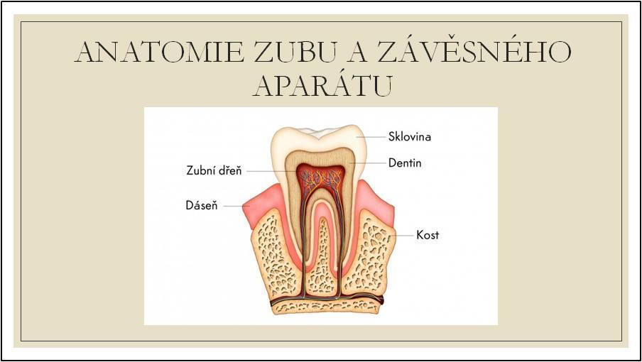 Příloha č.