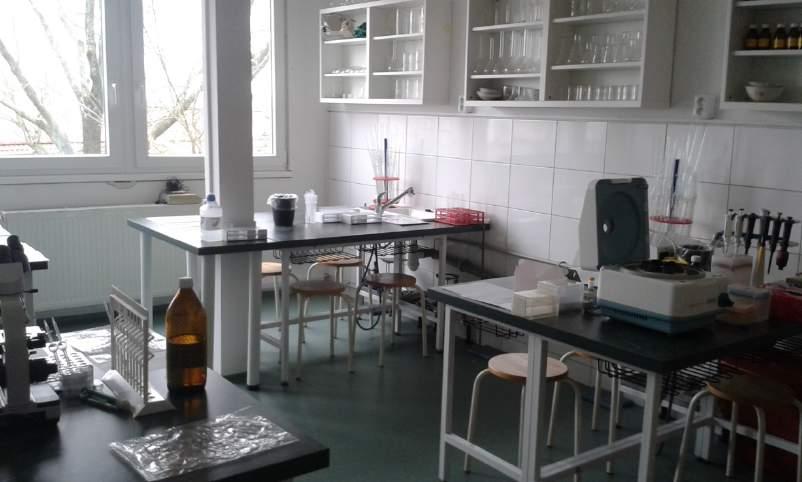 Materiální