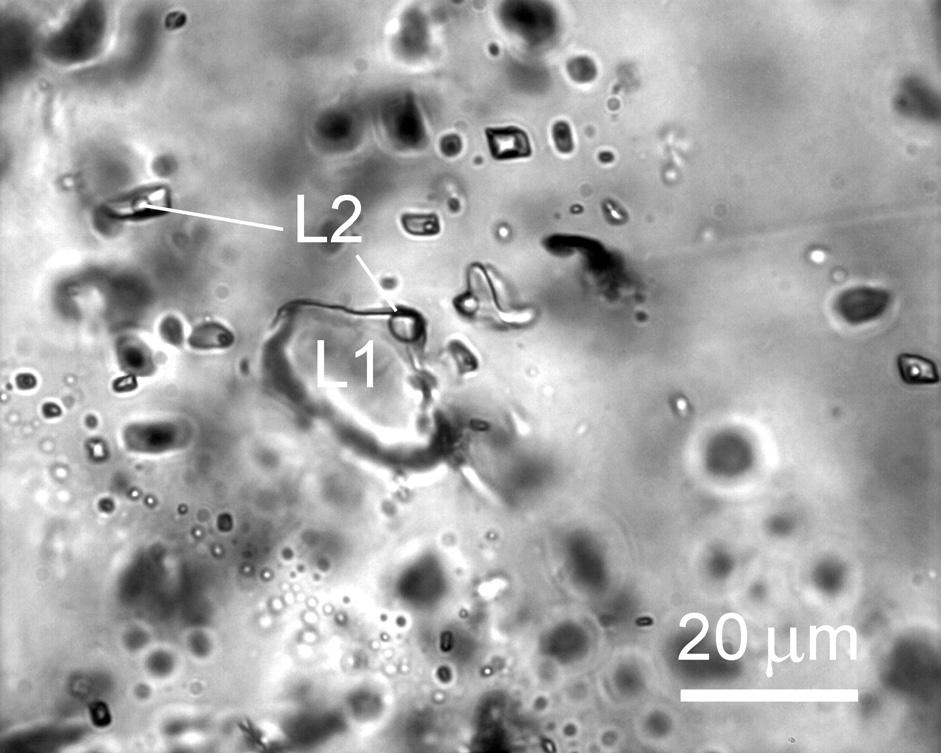 Kromě poměrně čisté fáze, což je patrné z T m mezi -57,1 až -56,6 C, je přítomen vodný roztok s nízkou salinitou okolo 4,5 hmot. % ekv. NaCl.