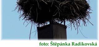hnízdiště ve spolupráci s